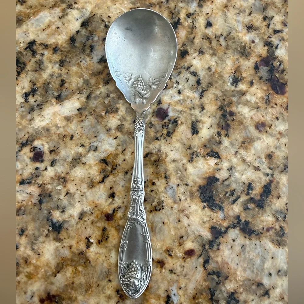 Elegant Silver Serving Spoon with Intricate Design